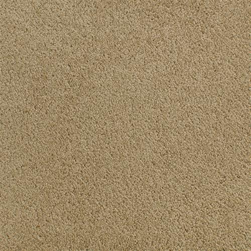 Accolade Ovation  - Sample