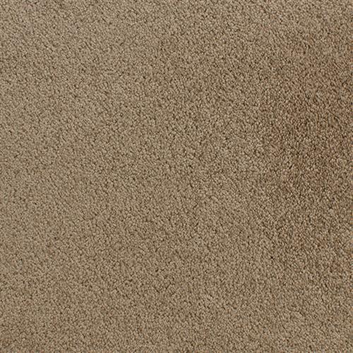 Accolade Pretzel  - Sample