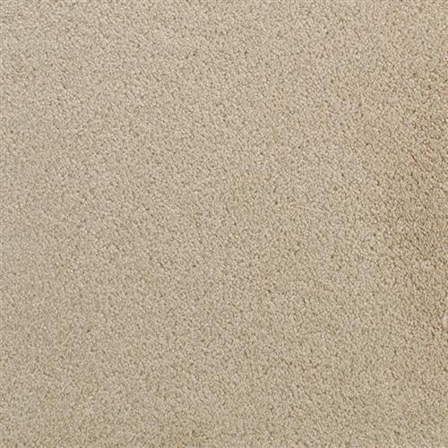 Accolade Quincy  - Sample