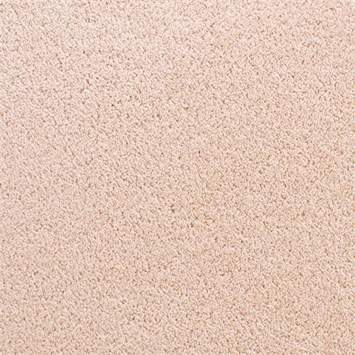 Accolade Rose Petal  - Sample