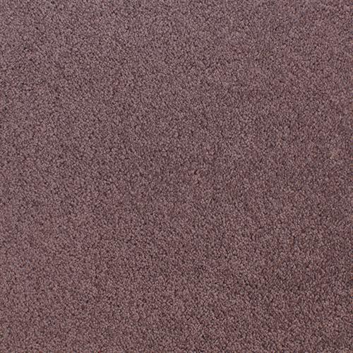 Accolade Serenade  - Sample