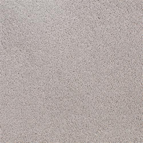 Accolade Silver Wood  - Sample