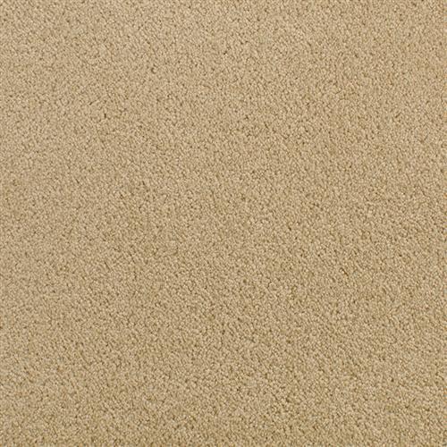 Accolade Spiced Curry  - Sample