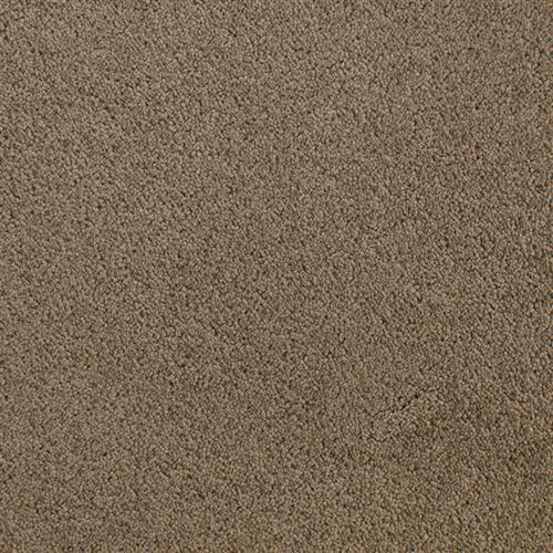 Accolade Toffee  - Sample