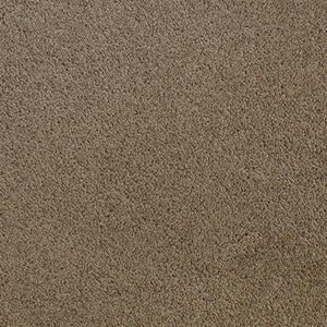 Accolade Toffee  - Sample