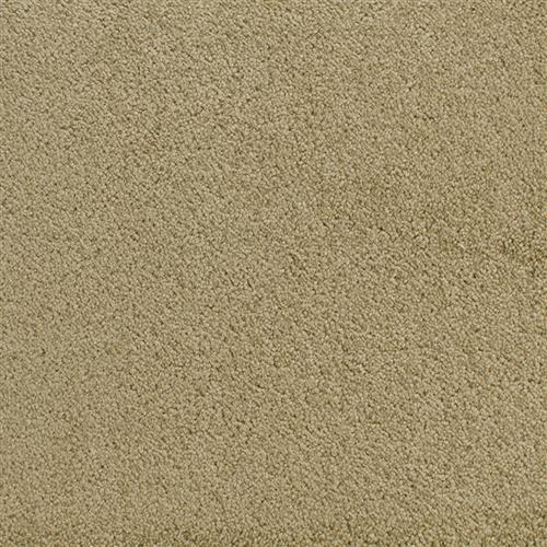 Accolade Willow Wood  - Sample