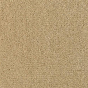 Seduction Sensational Sand SD11 - Sample
