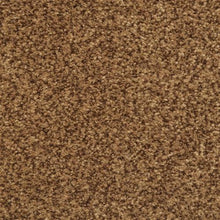 Load image into Gallery viewer, Semitones Espresso 79716 - Sample