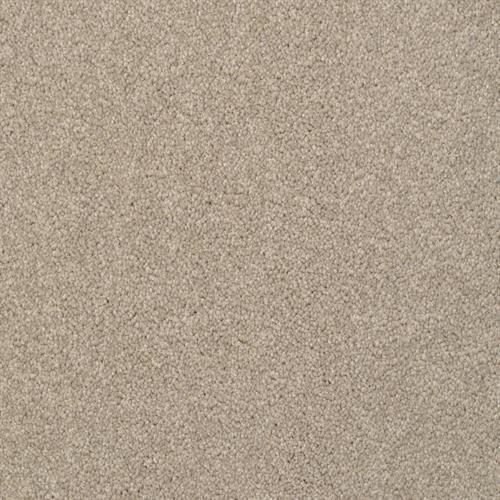 Alluring Driftwood  - Sample