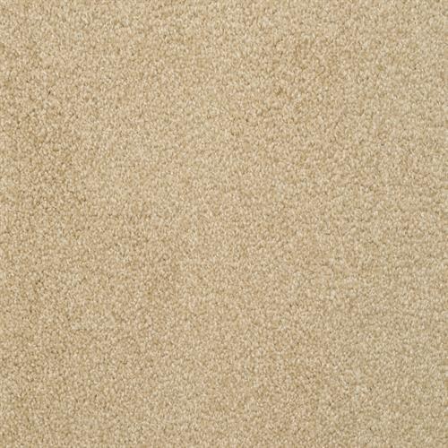 Alluring Camelite  - Sample