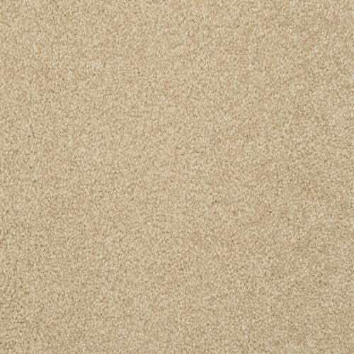 Alluring Suede  - Sample