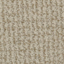 Load image into Gallery viewer, Boston Common Fossil 38518 - Sample