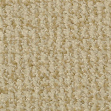 Load image into Gallery viewer, Boston Common Nectar 48510 - Sample