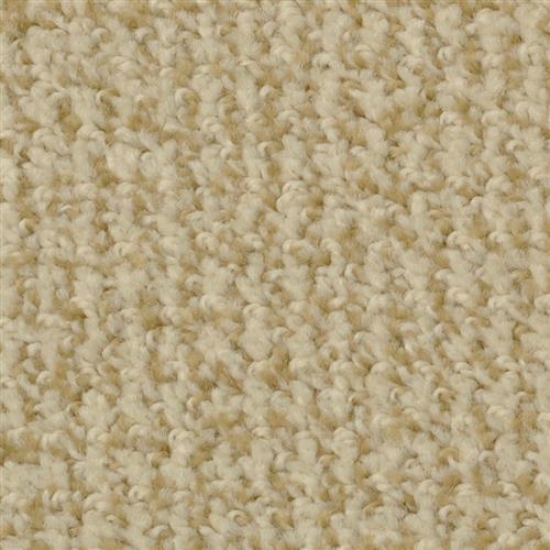 Boston Common Nectar 48510 - Sample