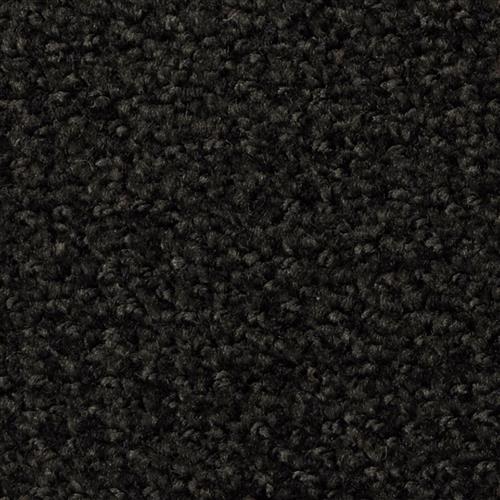 Boston Common Onyx 78520 - Sample