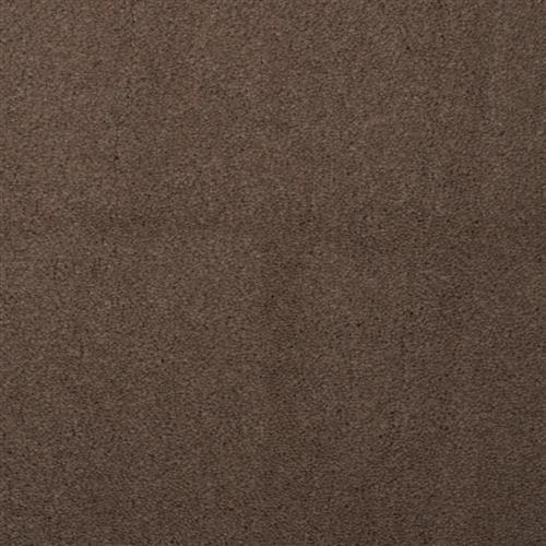 Touch Of Velvet Natty 36311 - Sample