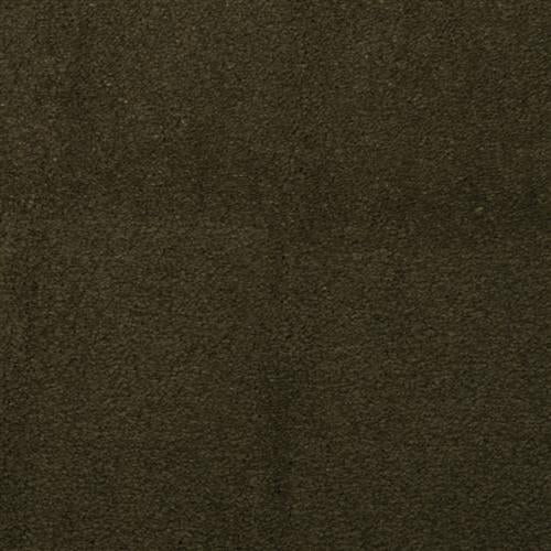 Touch Of Velvet Olive Branch 56326 - Sample