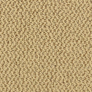 Hideaway Attitude  - Sample