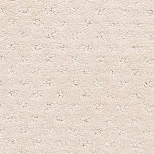 Dreamer Chiffon  - Sample