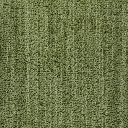 Bellini Salvia 747 - Sample