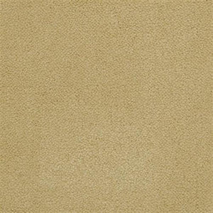 Panache Limestone  - Sample