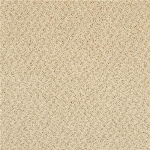 New Hope Warm Tan 557 - Sample