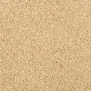 Oceanside Ambiance 947 - Sample