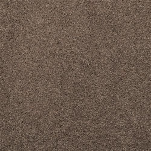 Embrace Boulder 329 - Sample