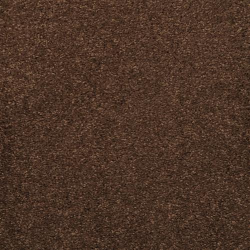 Embrace Bison 734 - Sample