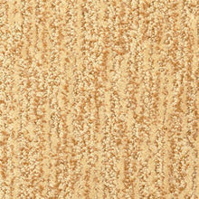 Load image into Gallery viewer, Mesa Verde Copper 938 - Sample