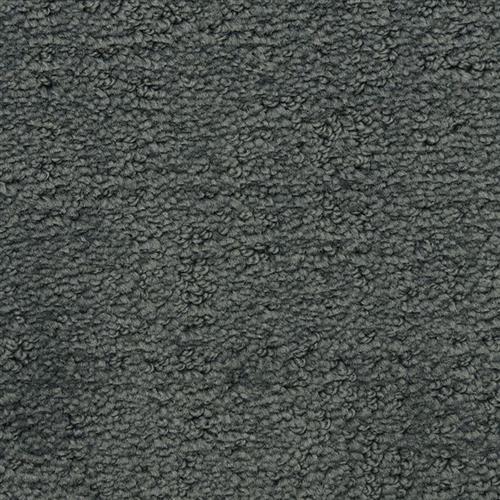 Santa Barbara Sycamore 542 - Sample