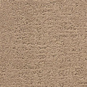 Santa Barbara Anacapa 849 - Sample