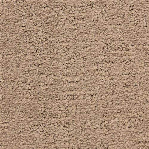 Santa Barbara Anacapa 849 - Sample