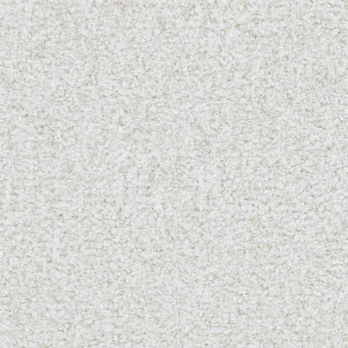 St Augustine Reliable 831 - Sample