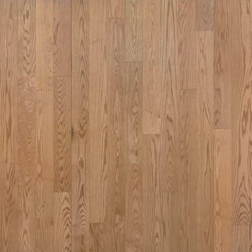 American Traditional Classics Auburn Red Oak  - Sample