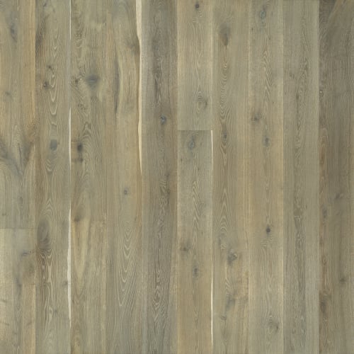 Alta Vista Cambria  - Sample