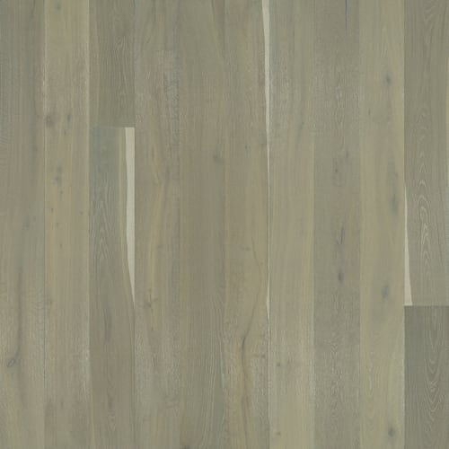 Alta Vista Laguna  - Sample