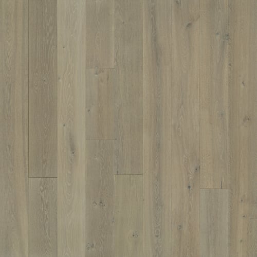 Avenue Collection  Sunset Oak  - Sample
