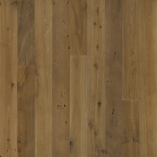 Avenue Collection Wilshire Oak  - Sample