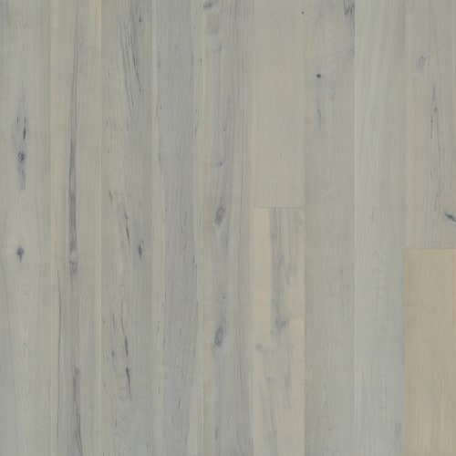 Avenue Lombard Maple  - Sample