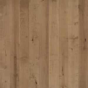 Avenue Pennsylvania Maple  - Sample