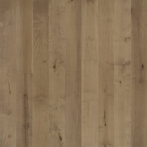 Avenue Pennsylvania Maple  - Sample