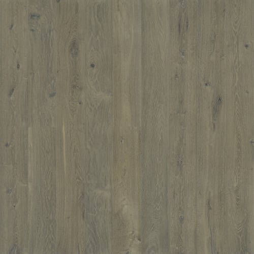 Avenue Rodeo Oak  - Sample