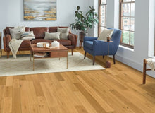 Load image into Gallery viewer, Blue Ridge Elijah  - Sample