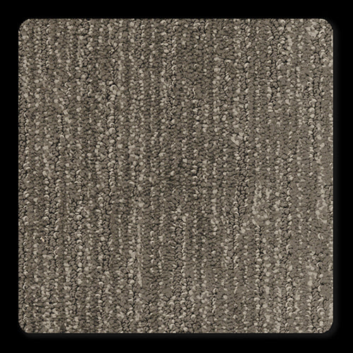 Bolero Shark  - Sample