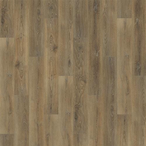 Courtier Chancellor Oak  - Sample