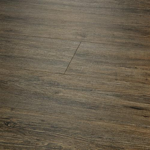 Courtier Chevalier Pine  - Sample