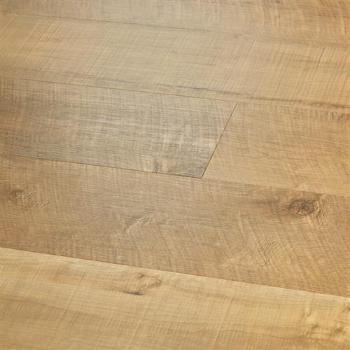 Courtier Esquire Maple  - Sample