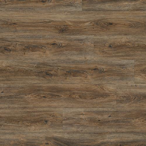 Coastal Egmont Key  - Sample
