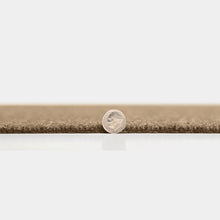 Load image into Gallery viewer, Newton | Premium Self Stick Carpet Tiles, Sample (Compass)